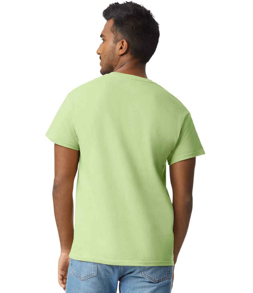 GD02 Pistachio Model