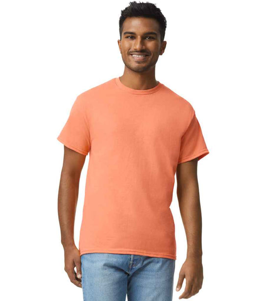 GD02 Tangerine Model