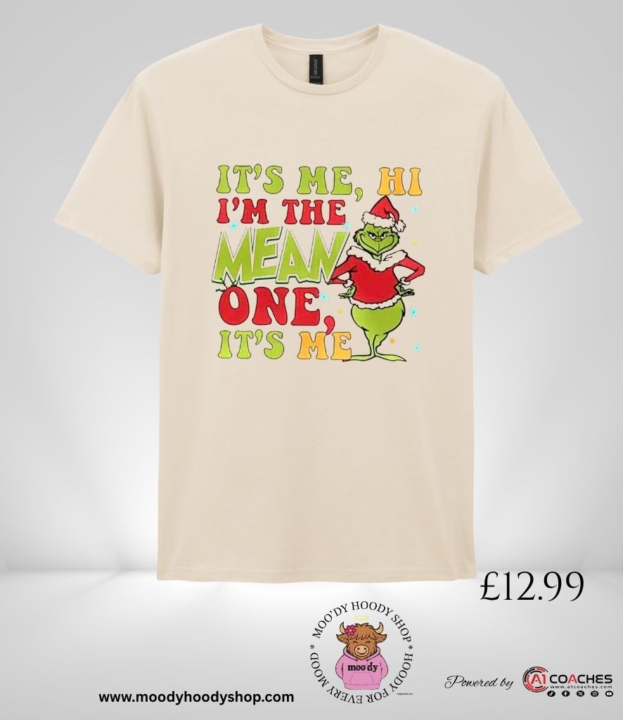 Hi its me, Im the mean one its me