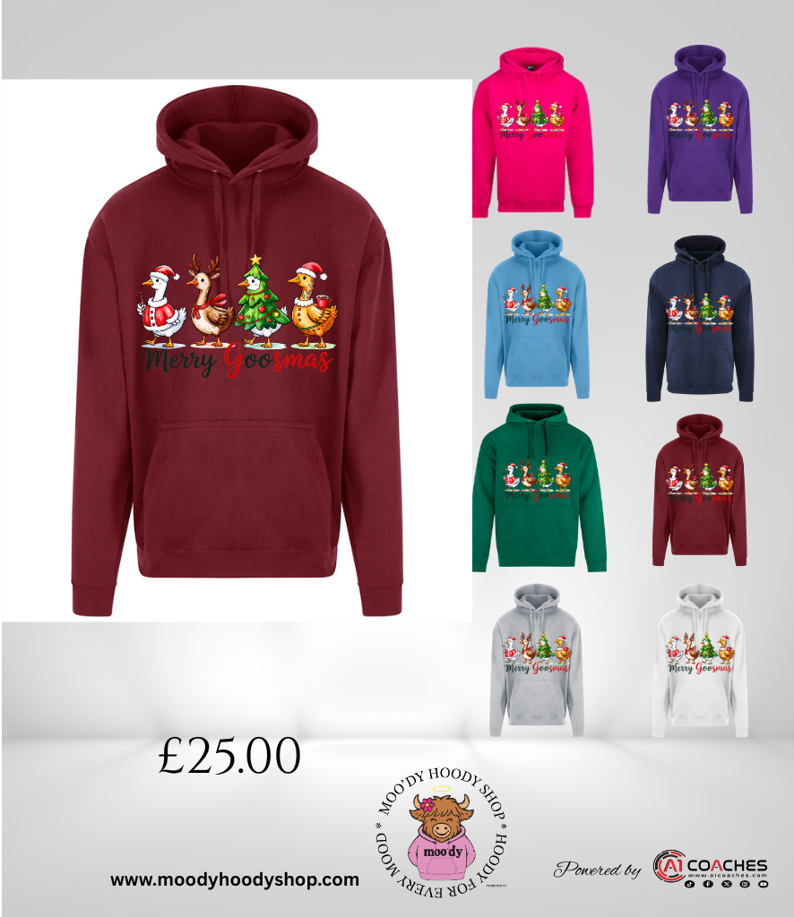Merry Goosmas Christmas Hoodie - RTX