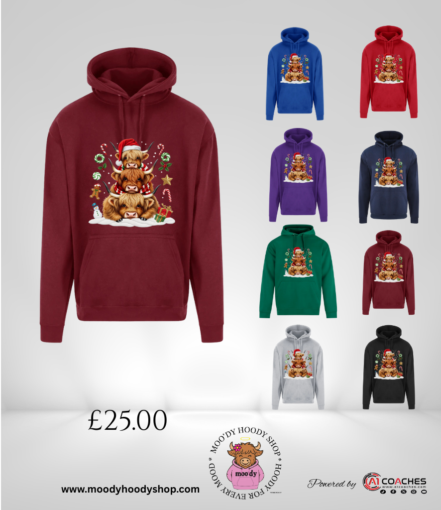 MOODY HIGHLAND COW CHRISMAS HOODIE - RTX