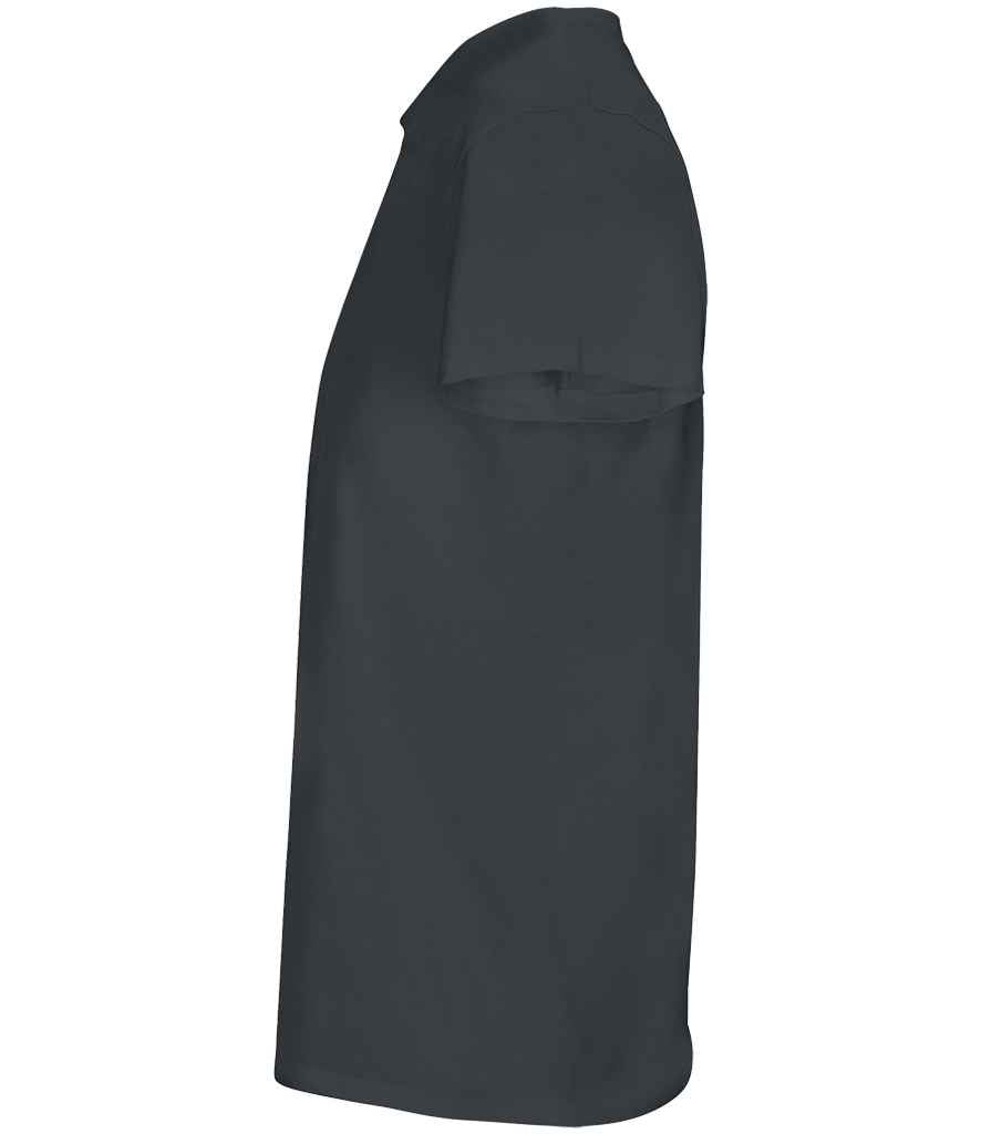 04233 Mouse Grey Left