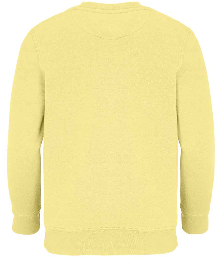 04239 Light Yellow Back