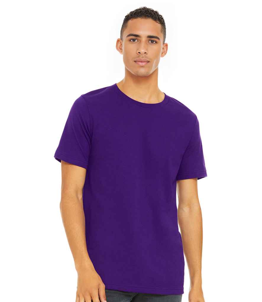 CV3001 Team Purple Model