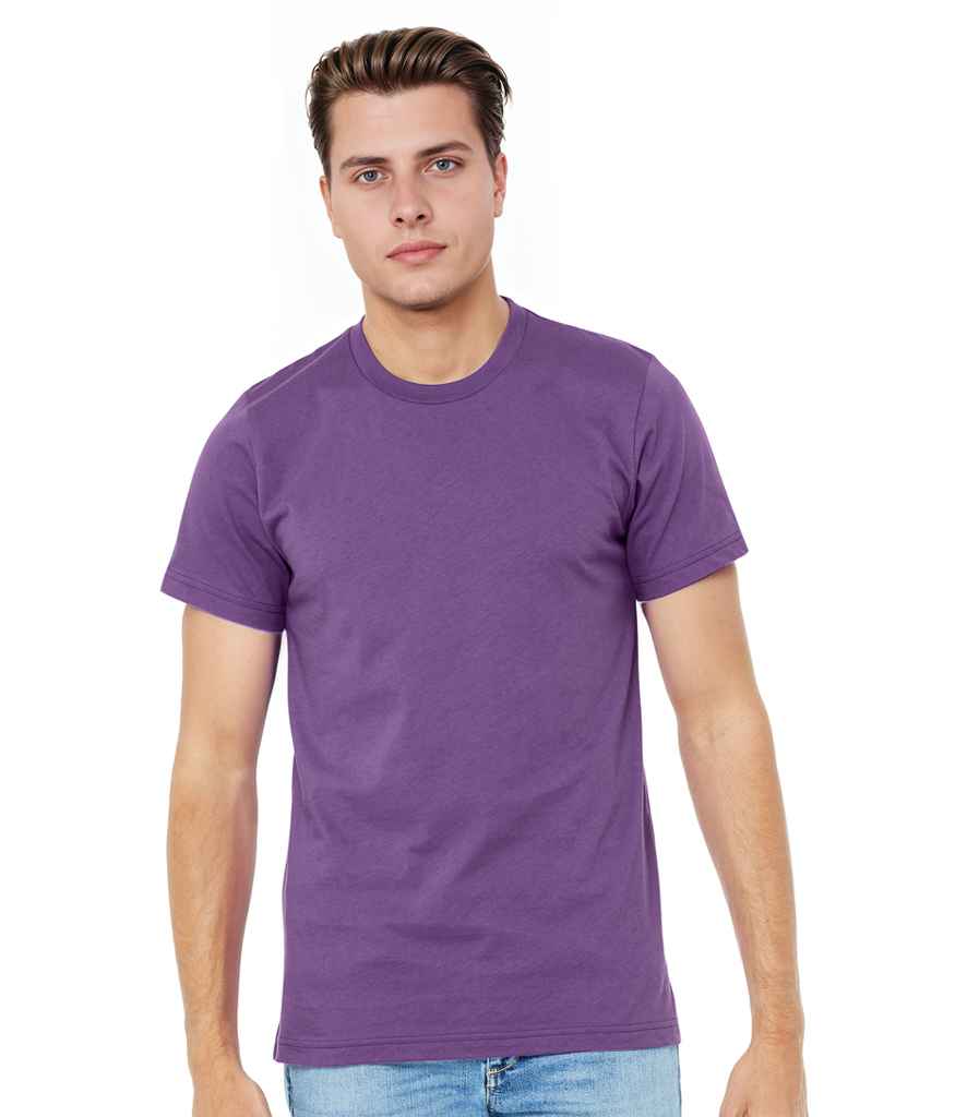 CV3001 Royal purple Model