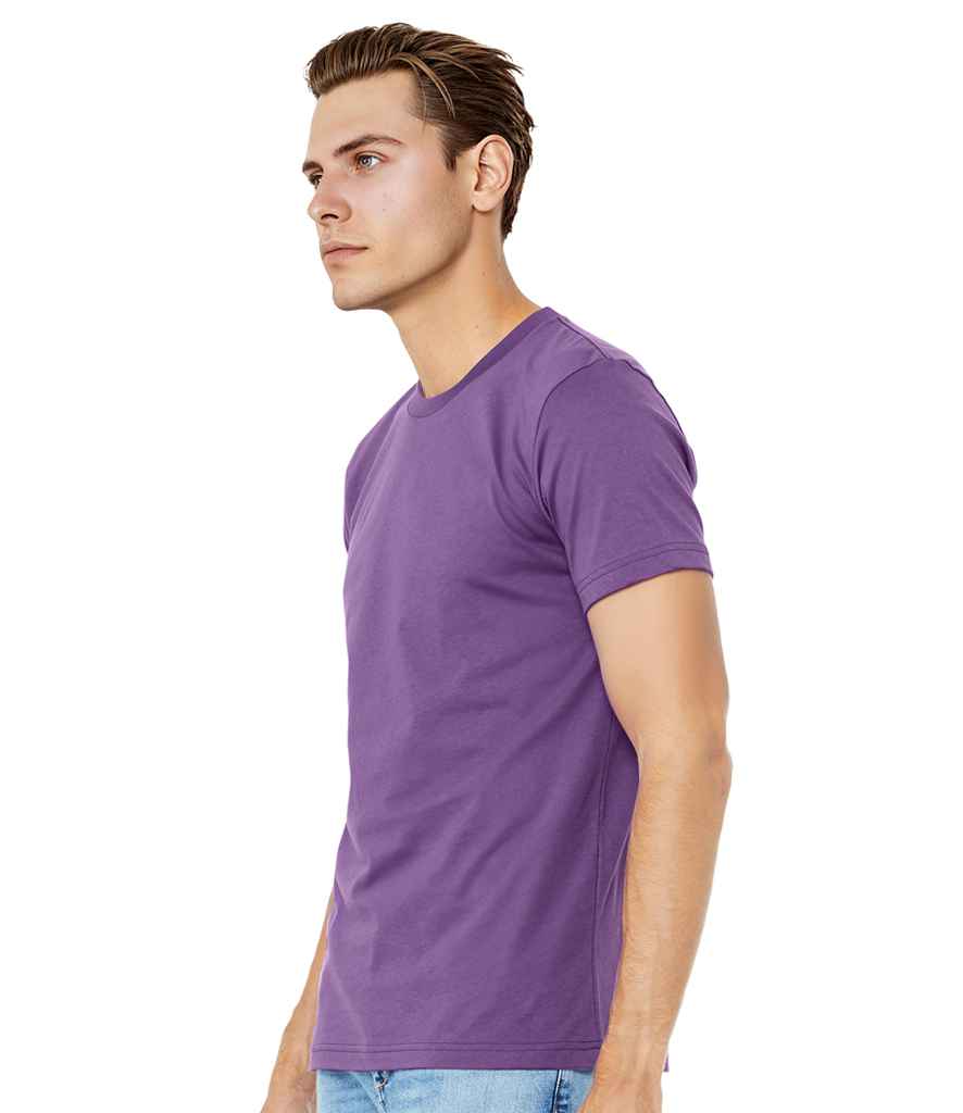 CV3001 Royal purple Model