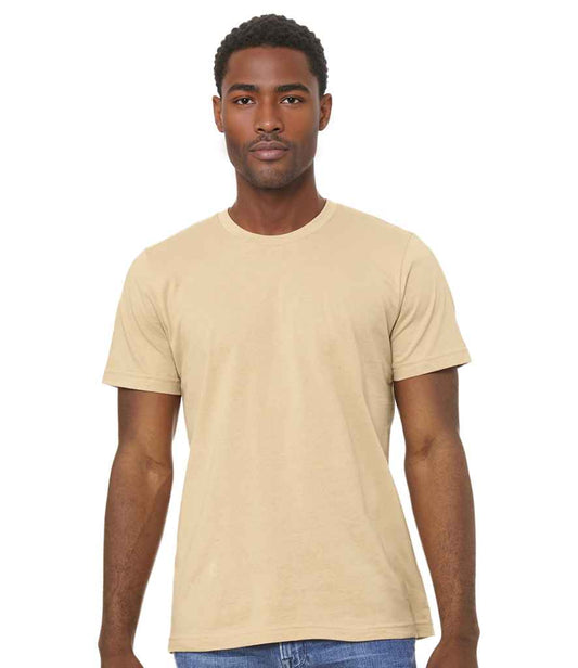 CV3001 Sand dune Model