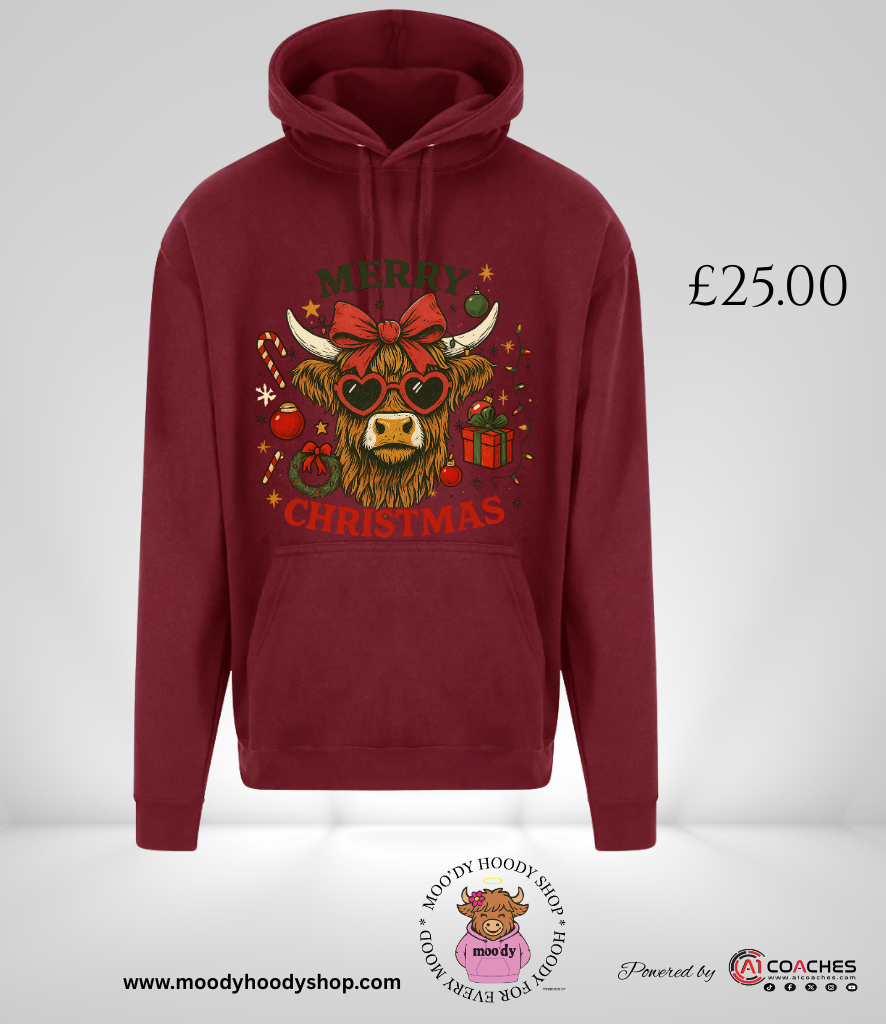 Merry Christmas Highland Cow Hoodie - RTX