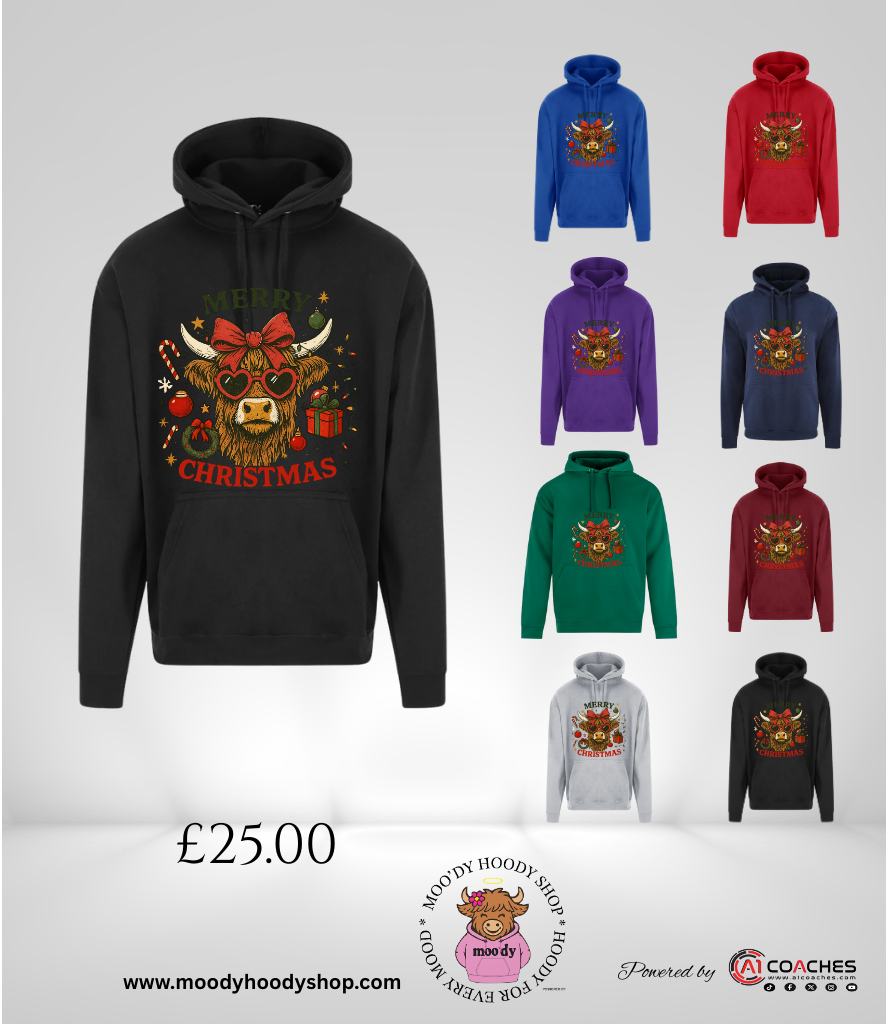 Merry Christmas Highland Cow Hoodie - RTX