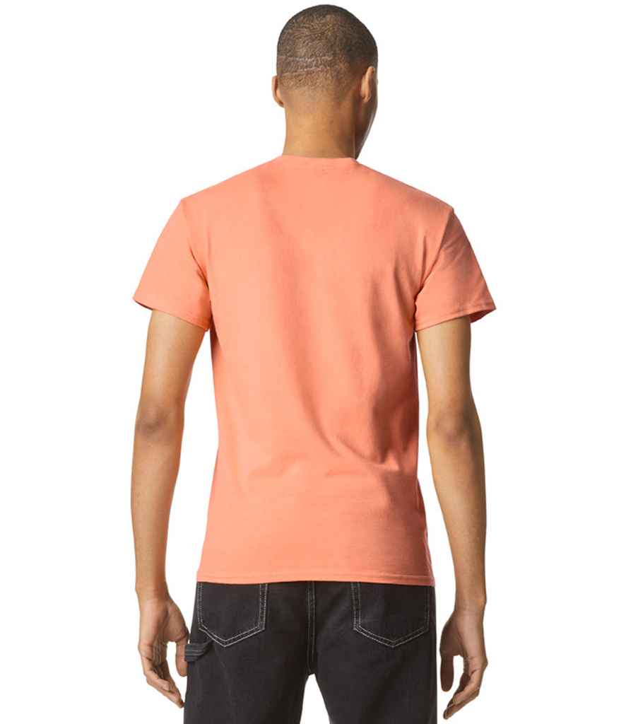 GD05 Tangerine Model