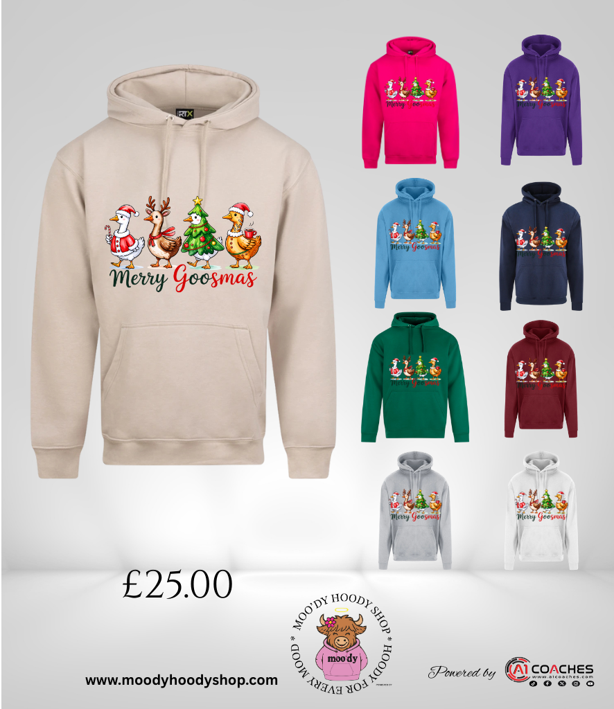 Merry Goosmas Christmas Hoodie - RTX