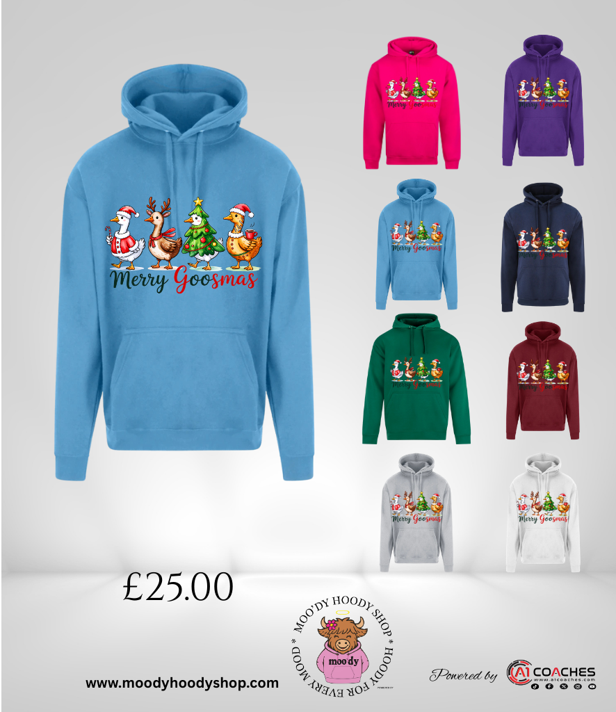 Merry Goosmas Christmas Hoodie - RTX