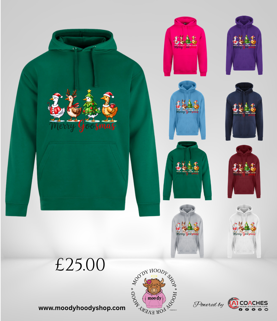 Merry Goosmas Christmas Hoodie - RTX