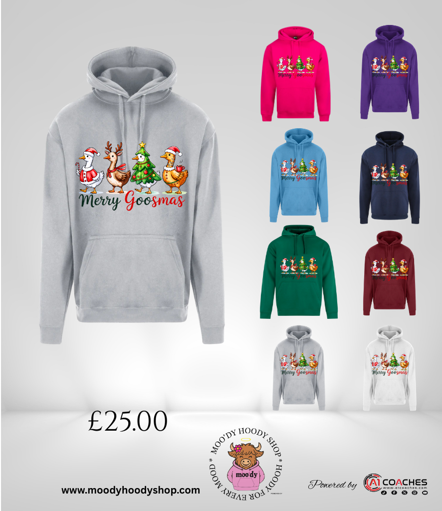 Merry Goosmas Christmas Hoodie - RTX