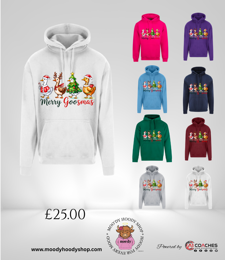 Merry Goosmas Christmas Hoodie - RTX