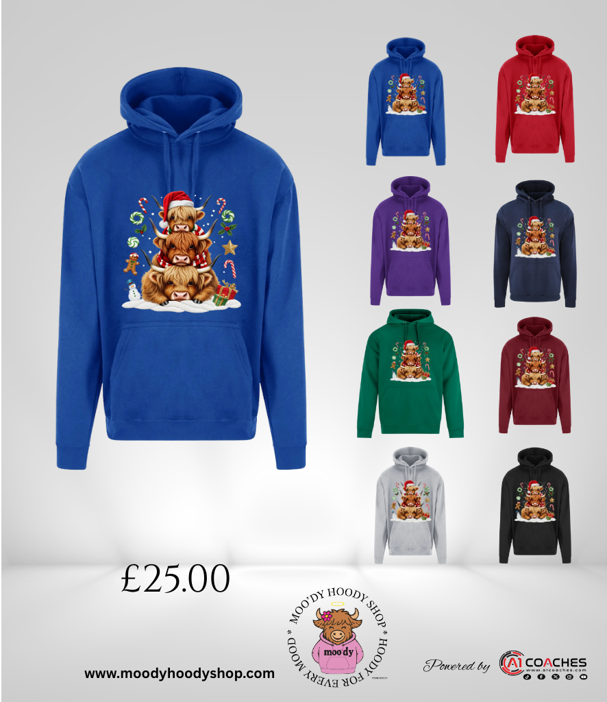 MOODY HIGHLAND COW CHRISMAS HOODIE - RTX