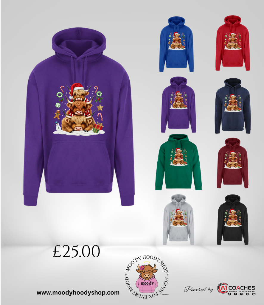 MOODY HIGHLAND COW CHRISMAS HOODIE - RTX