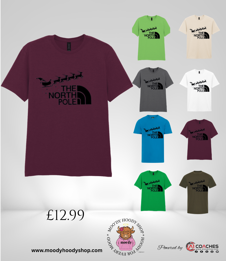 The North Pole Christmas T Shirt